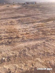للبيع ارض زراعيه في صعده