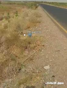 للبيع مزرعه جاهزه على الازفلت الرائيسي وسعر مغري جدا